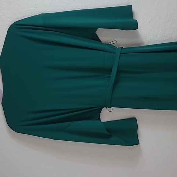 Express  High Rise Green Jumpsuit Size XL/TG - Picture 8 of 9
